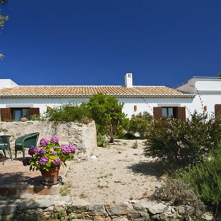 Monte Do Alamo - Turismo Rural Tavira Exteriör bild